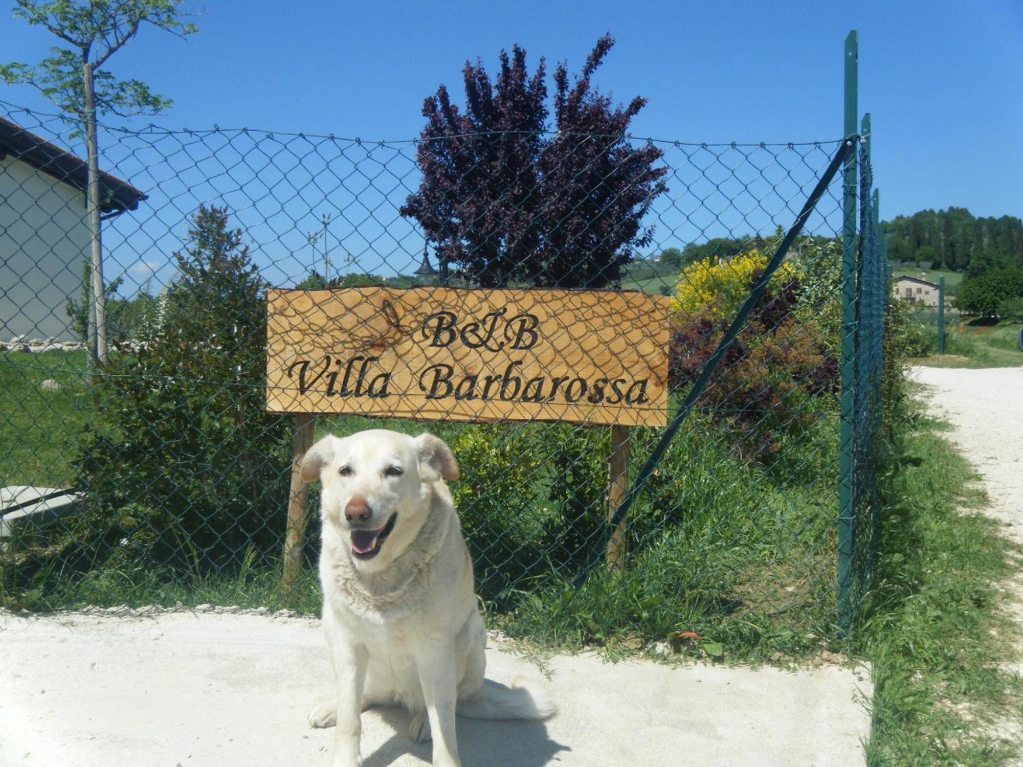 B&B Villa Barbarossa Petrignano Exterior photo